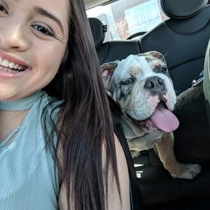 Meet your Posher, Ernie